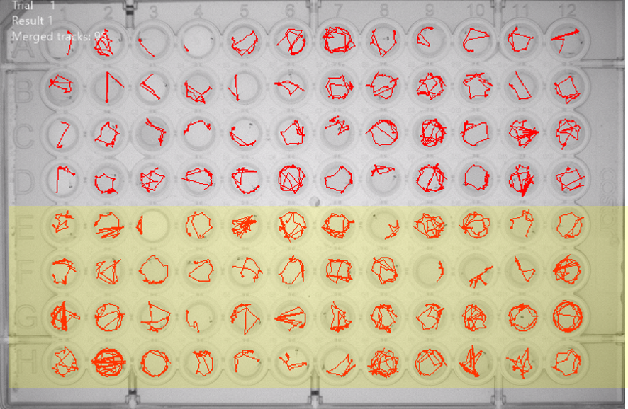 Simultaneous 96-well animal tracking